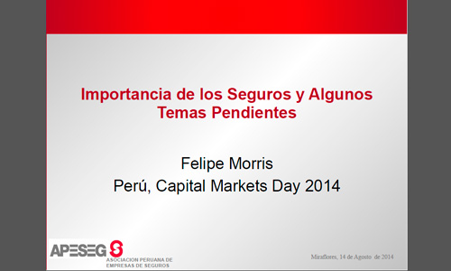 Perú Capital Markets Day - 2014